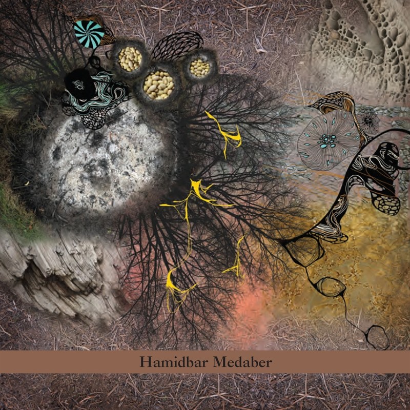 Zebrina: Hamidbar Medaber CD