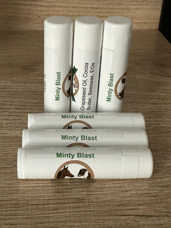 Minty Blast Lip Balm