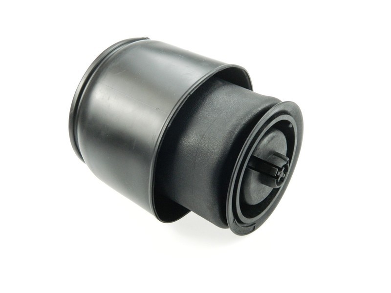 1x Molla Ad Aria Posteriore 1x DESTRA o 1xSINISTRO per: BMW X5 F15