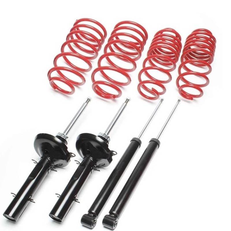 Kit Assetto Sportivo Fisso Tatechnix Honda Accord III TIPO CA4/CA5 35/35mm