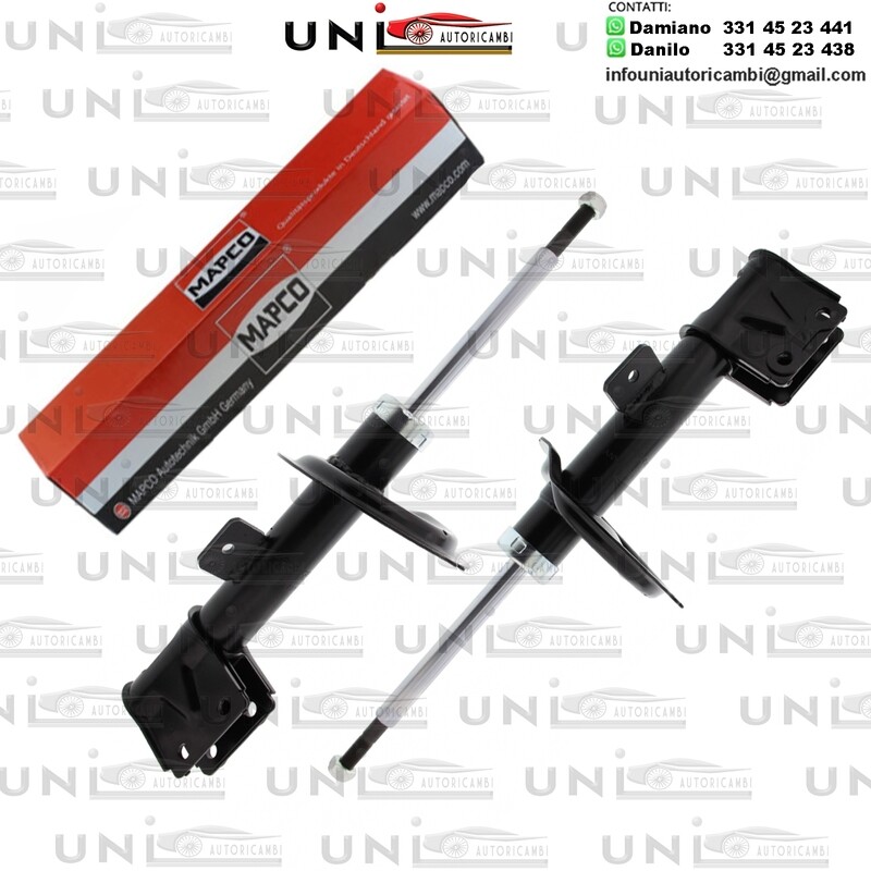 2 Ammortizzatori Anteriori Rinofrzati a Gas Peugeot 307 (3A/C)