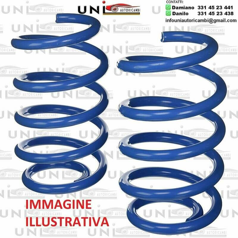 2 Molle da Carico Posteriori Rinforzate