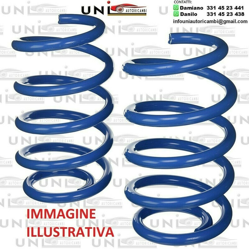 2x Molle Carico Posteriori Rinforzate Lada dal 05/1971 al 10/1989