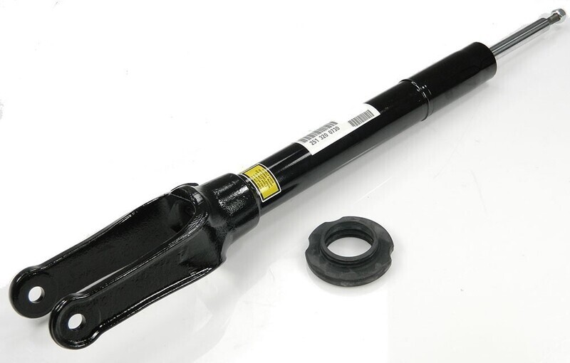 1x Ammortizzatore ad aria Anteriore ​1x Sinistro o 1x Destro per - MERCEDES CLASSE R W251 V251 DAL 2006-