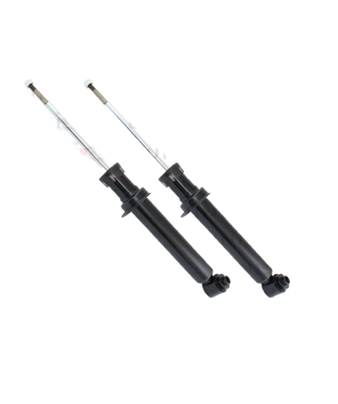 2 AMMORTIZZATORI POSTERIORI RINFORZATI per: PEUGEOT 207 dal 2006-