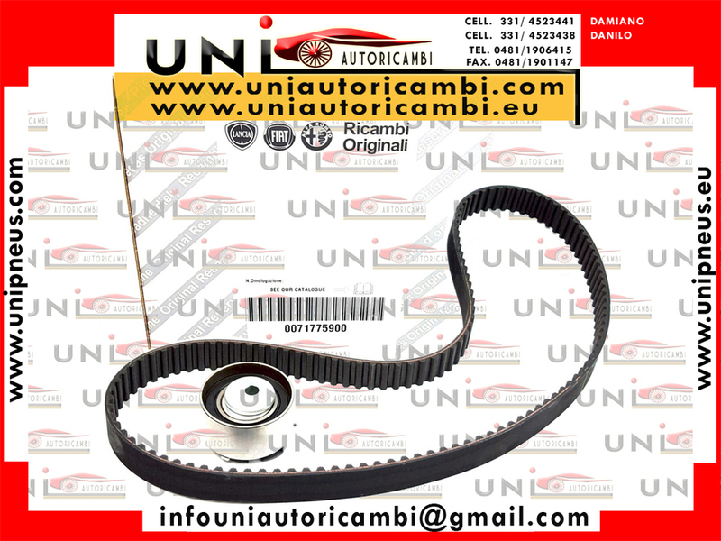 Kit Distribuzione Originale Fiat per Alfa Romeo Mito 955 / Fiat Panda 169 / Fiat Punto 188 / Grande  Punto 199 / Lancia Ypsilon 843