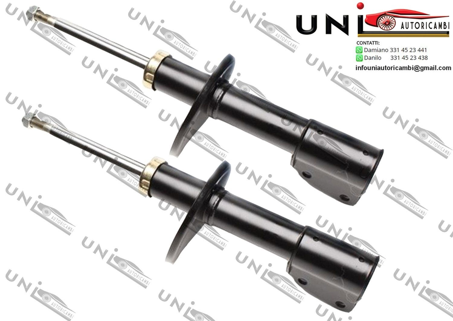 2x Ammortizzatori Anteriori Normali a Gas Renault Twingo (C06) dal 1993-2007