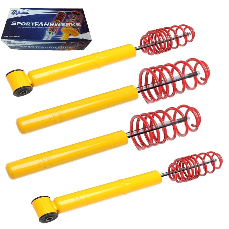 Kit Assetto Sportivo Fisso Tatechnix Audi 100 Avant (4A-C4) da 1990 a 1994