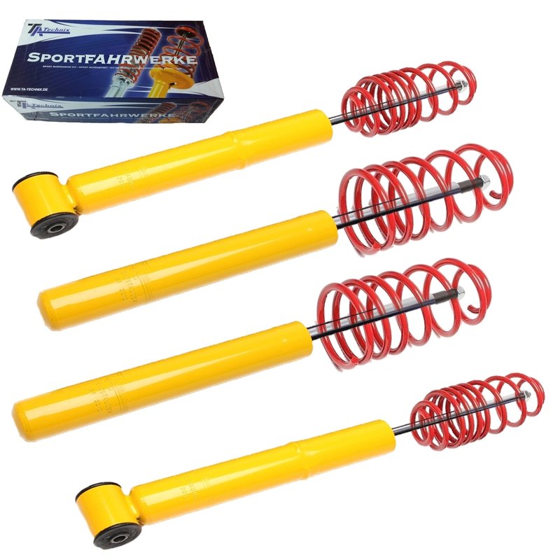 Kit Assetto Sportivo Fisso Tatechnix Audi 100 Avant (4A-C4) da 1990 a 1994