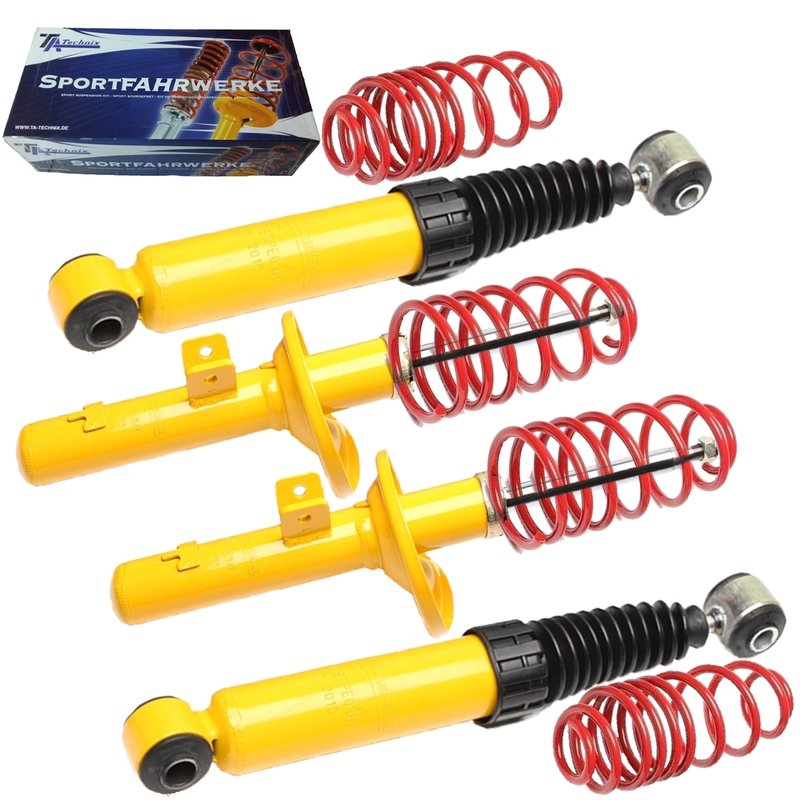 Kit Assetto Sportivo Fisso Tatechnix Citroën ZX (N2) da 1991 a 1999