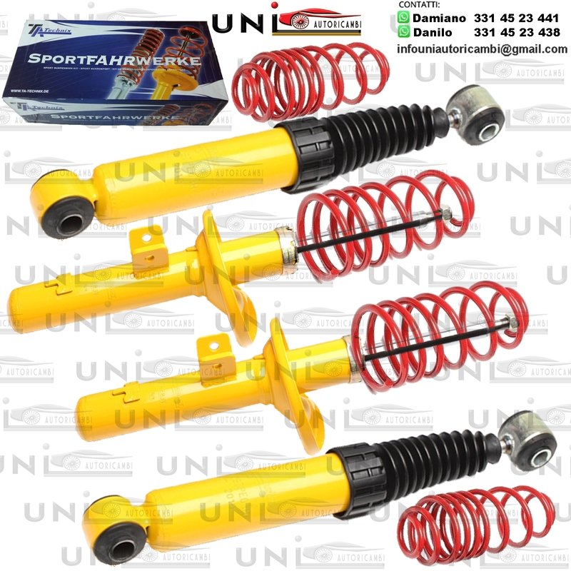 Kit Assetto Sportivo Fisso Tatechnix Citroën ZX (N2) da 1991 a 1999