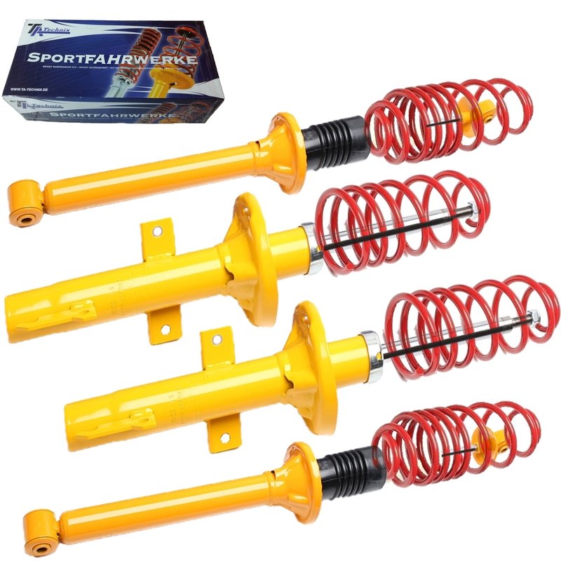 Kit Assetto Sportivo Fisso Tatechnix Ford Escort V+VI (GAL/ALL) / Orion III (GAL) da 1990 a 1995