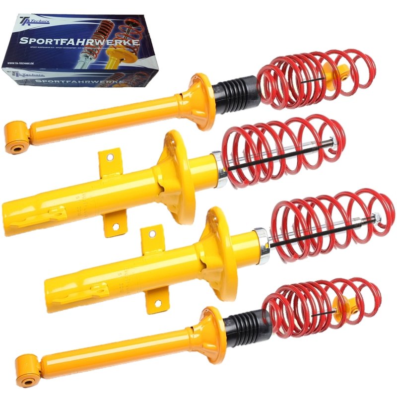 Kit Assetto Sportivo Fisso Tatechnix Ford Escort V+VI (GAL/ALL) / Orion III (GAL) da 1990 a 1995