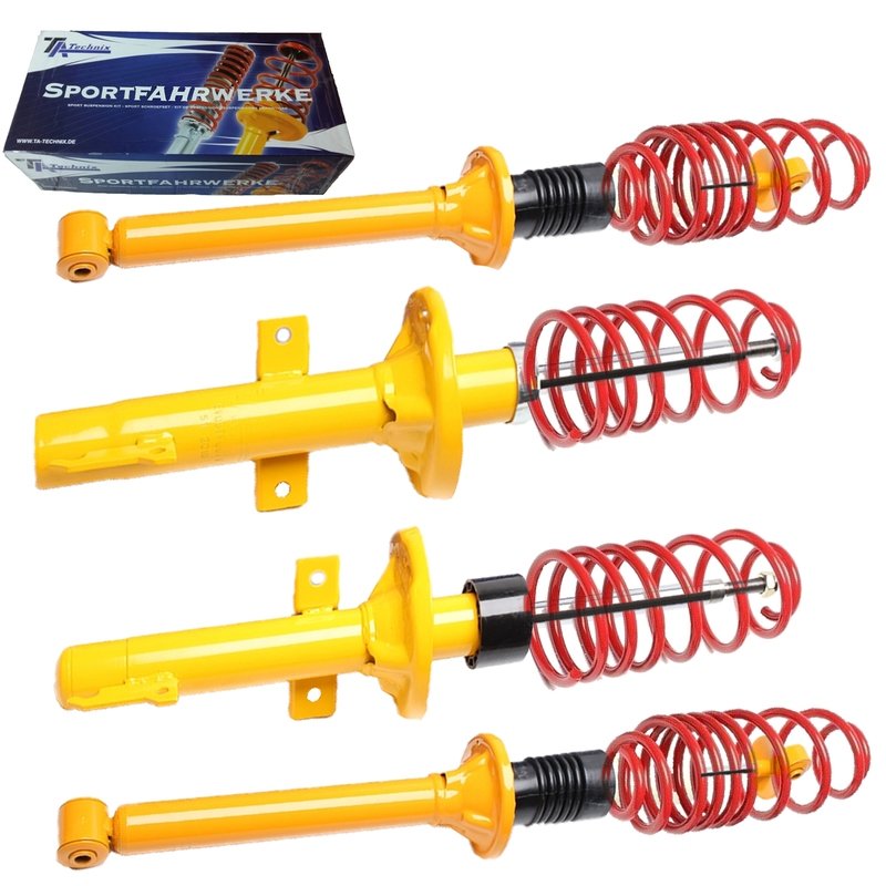 Kit Assetto Sportivo Fisso Tatechnix Ford Fiesta III (GFJ) da 1989 a 1993