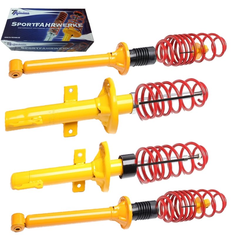 Kit Assetto Sportivo Fisso Tatechnix Ford Fiesta III (GFJ) da 1989 a 1993