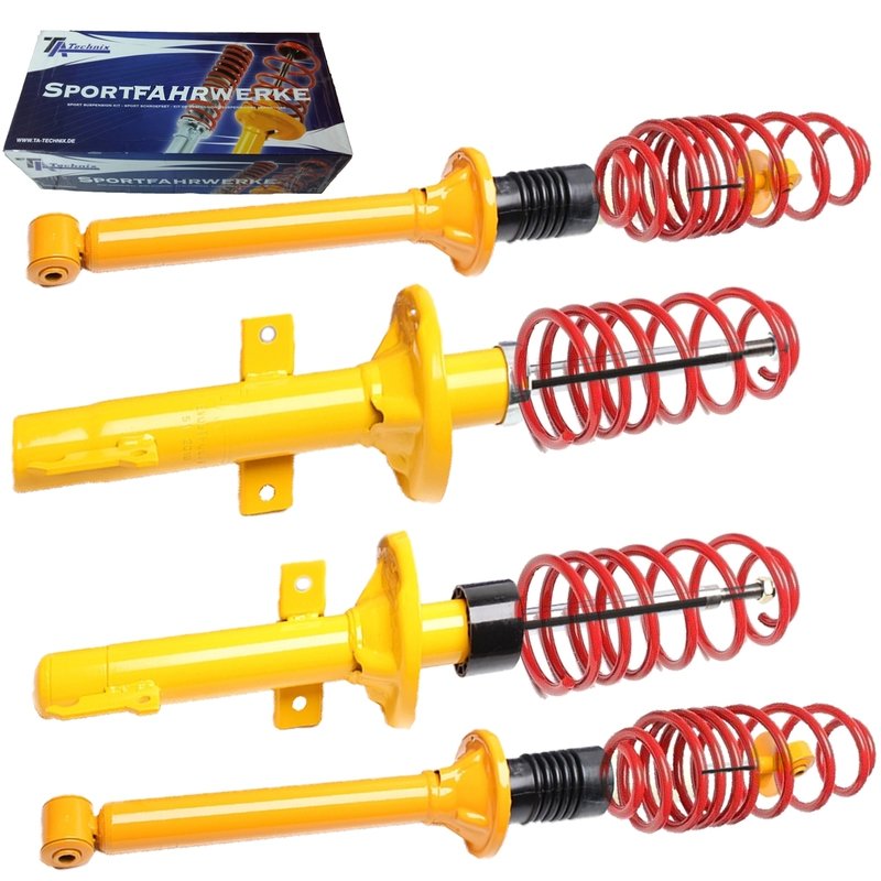 Kit Assetto Sportivo Fisso Tatechnix Ford Fiesta III (GFJ) da 1989 a 1993