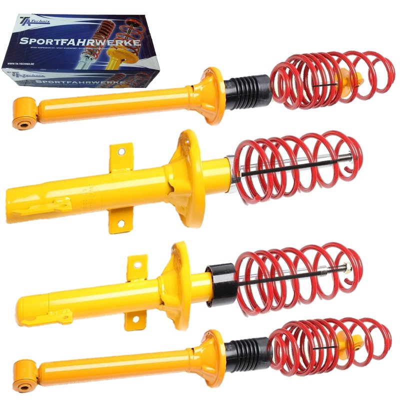 Kit Assetto Sportivo Fisso Tatechnix Ford Fiesta III (GFJ) da 1989 a 1993