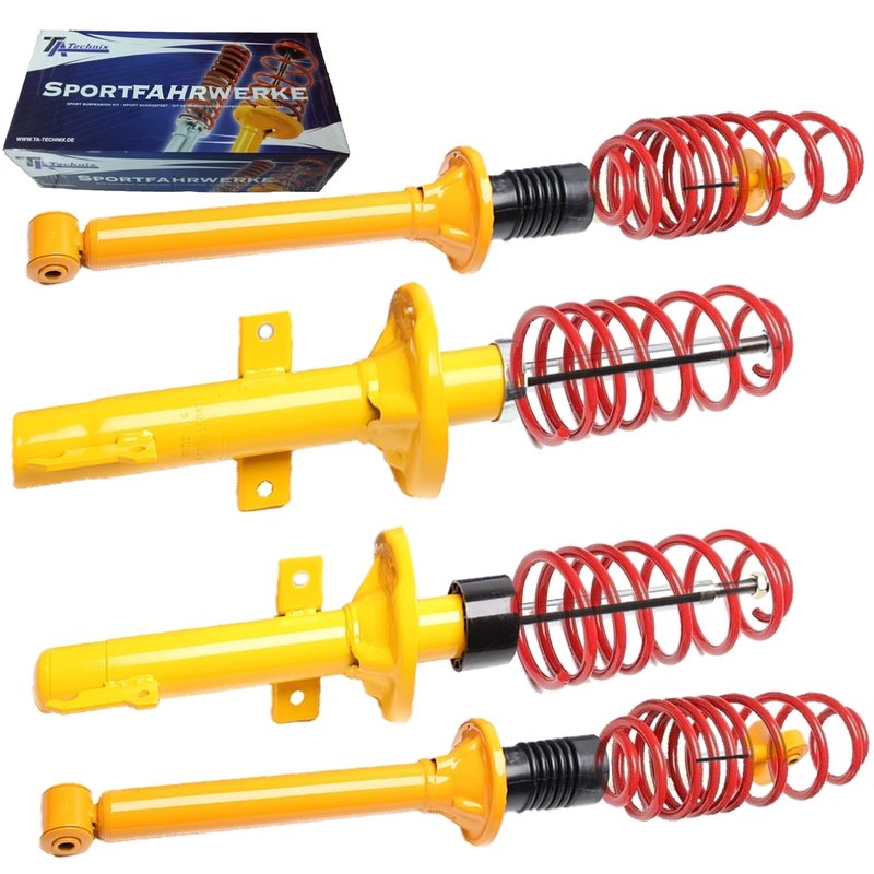 Kit Assetto Sportivo Fisso Tatechnix Ford Fiesta III Facelift (GFJ) da 1994 a 1996