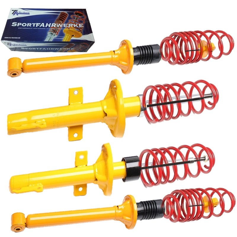 Kit Assetto Sportivo Fisso Tatechnix Ford Fiesta III Facelift (GFJ) da 1994 a 1996