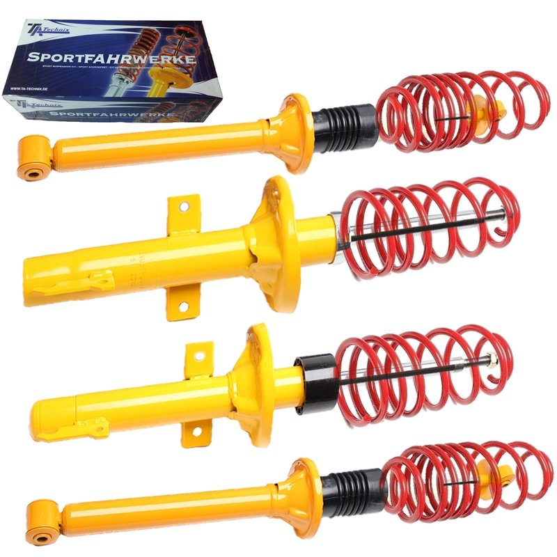 Kit Assetto Sportivo Fisso Tatechnix Ford Fiesta III Facelift (GFJ) da 1994 a 1996