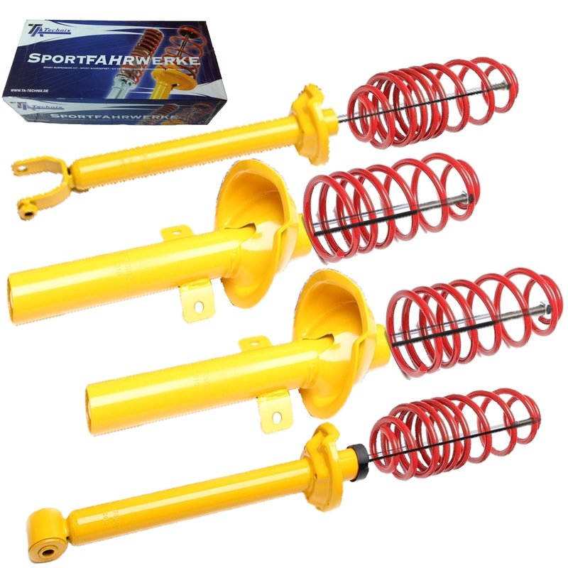 Kit Assetto Sportivo Fisso Tatechnix Ford Fiesta IV (JAS / JBS) da 1998 a 2000