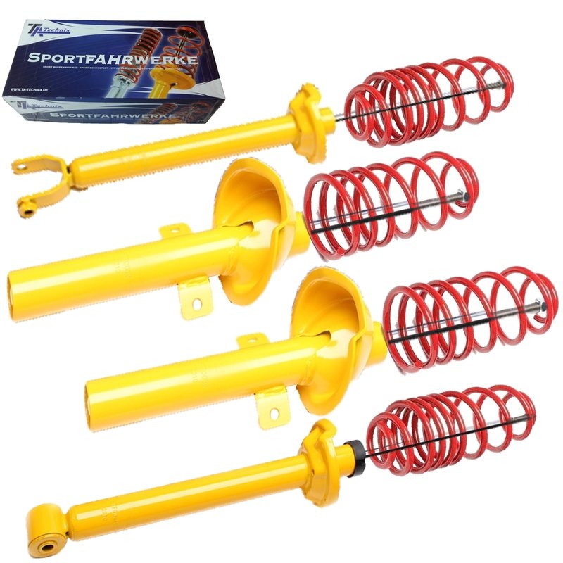 Kit Assetto Sportivo Fisso Tatechnix Ford Fiesta IV (JAS / JBS) da 2000 a 2002