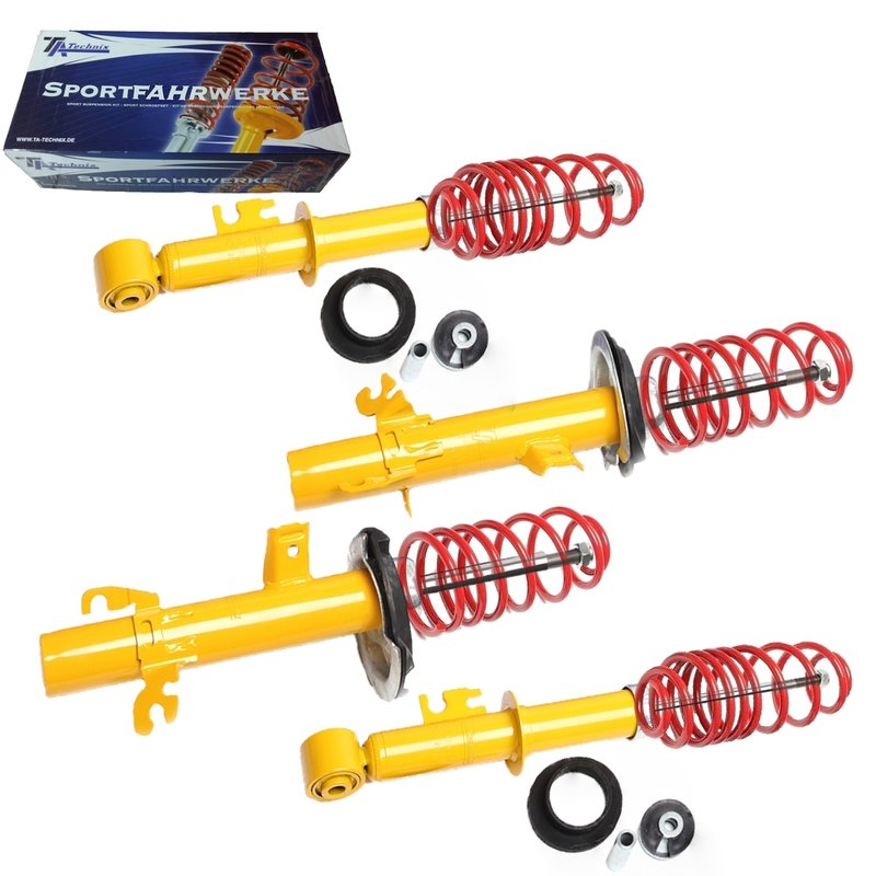 Kit Assetto Sportivo Fisso Tatechnix Mini One (R50) da 2001 a 03.2002