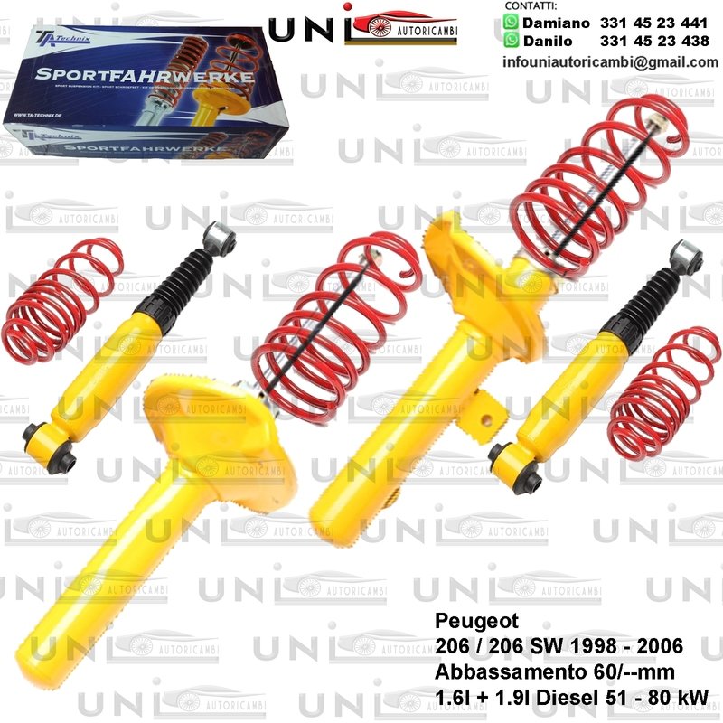 Kit Assetto Sportivo Fisso Tatechnix Peugeot 206 / SW / CC (NFZ / WJZ / WJY / NFU) da 08.1998 a 2006