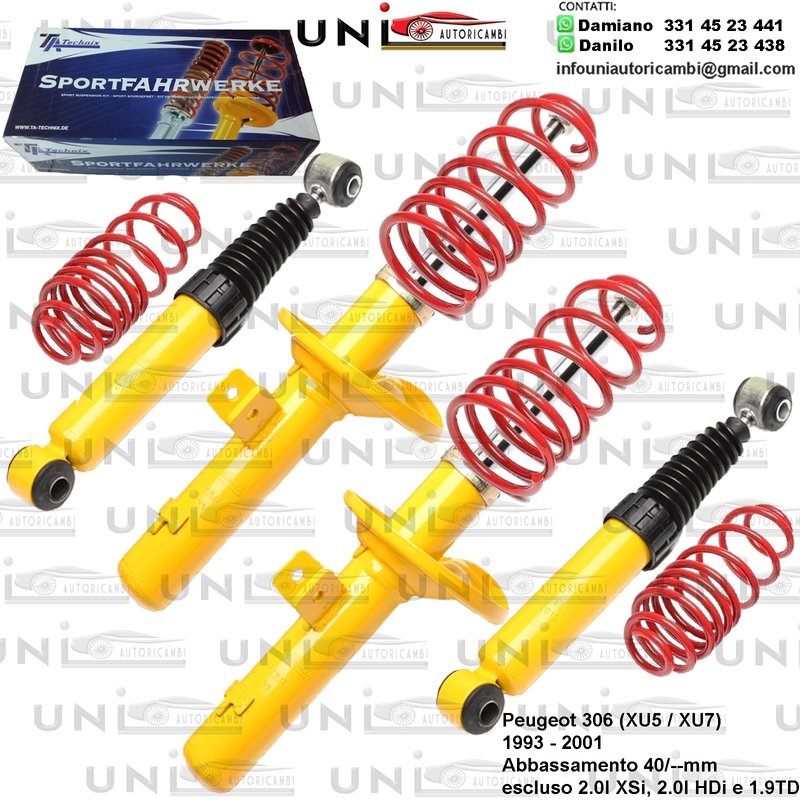 Kit Assetto Sportivo Fisso Tatechnix Peugeot 306 (XU5 / XU7) da 03.1993 a 2001