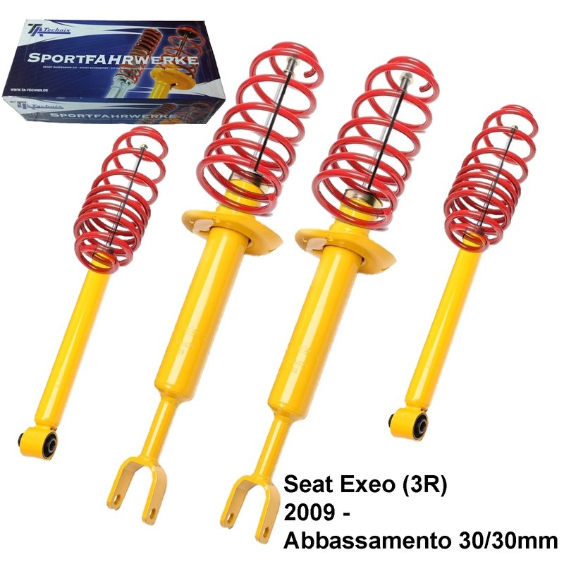 Kit Assetto Sportivo Fisso Tatechnix Seat Exeo (3R) da 04.2009 -
