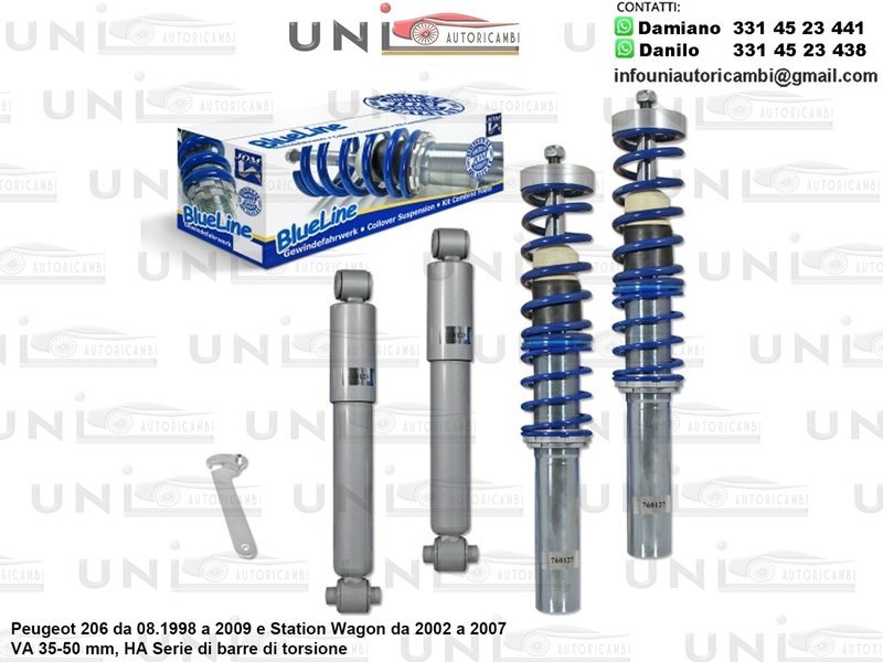 Assetto a Ghiera Regolabile Peugeot 206 08.1998 a 2009 e Station Wagon da 2002 a 2007