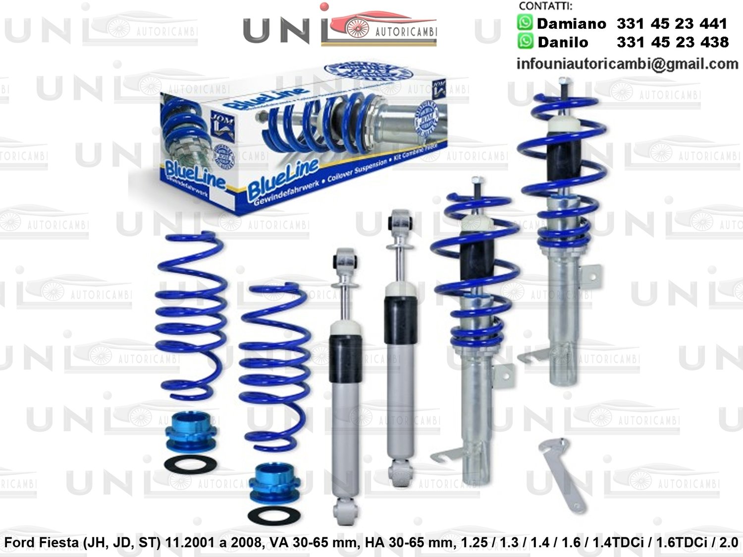 Assetto a Ghiera Regolabile Ford Fiesta (JH, JD, ST) 1.25 / 1.3 / 1.4 / 1.6 / 1.4TDCi / 1.6TDCi / 2.0 da 11.2001 a 2008