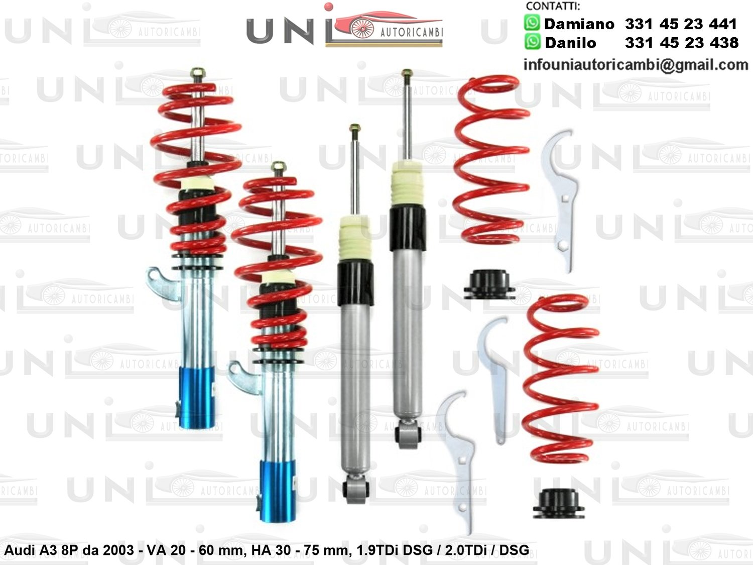 Assetto a Ghiera Regolabile Audi A3 (8P) 1.9TDi DSG / 2.0TDi / DSG da 2003 -