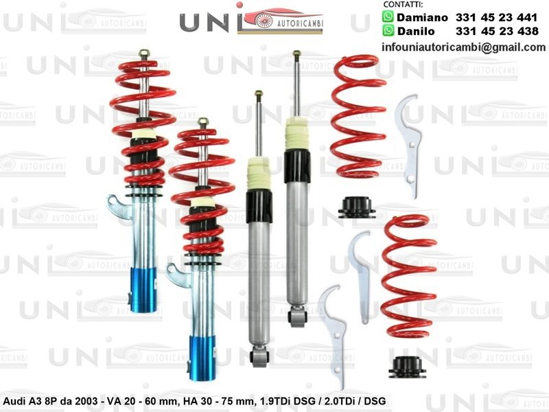 Assetto a Ghiera Regolabile Audi A3 (8P) 1.9TDi DSG / 2.0TDi / DSG da 2003 -