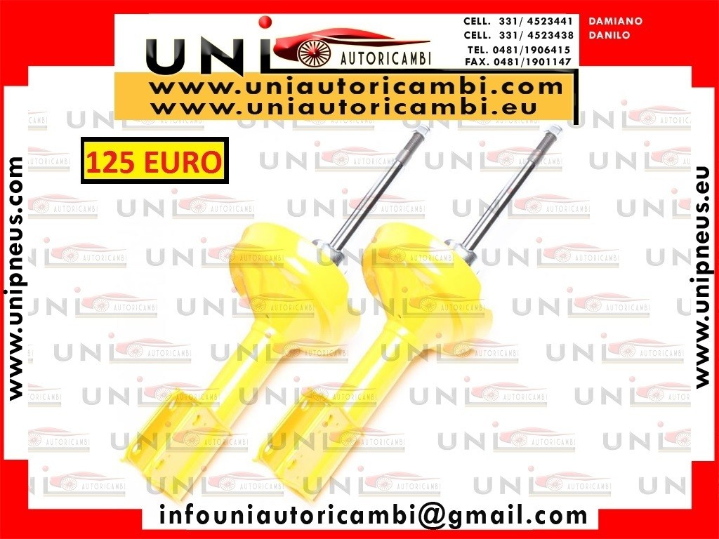 2 Ammortizzatori Anteriori Sportivi per RENAULT Clio 2 dal 1998-2005 - Ammortizzatore Anteriore da 58mm