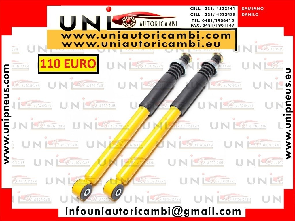 2 Ammortizzatori Posteriori Sportivi per RENAULT Clio 2 dal 1998-2005