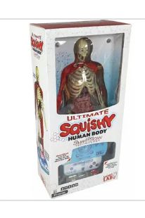 Ultimate Squishy Human Body Lab