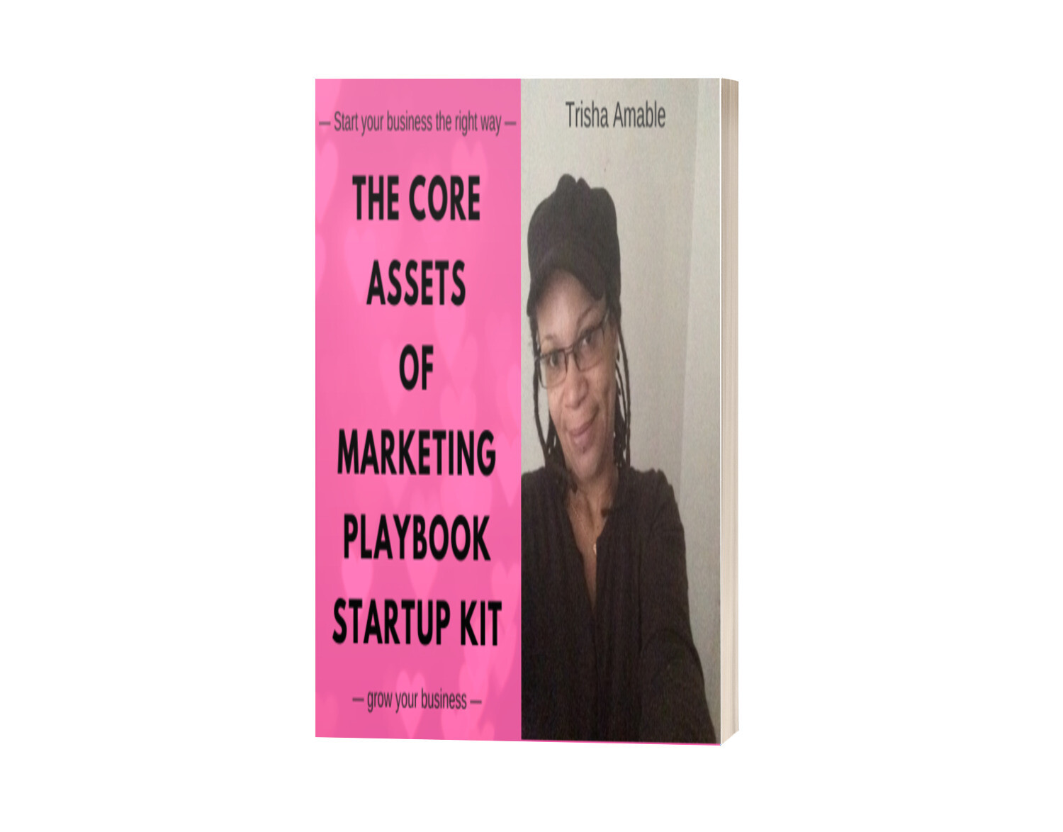 The Core Assets of Marketing Startup Kit - Playbook