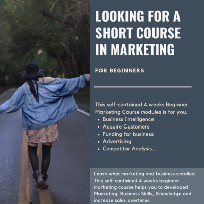 Beginner Marketing Course Beginner Marketing Course