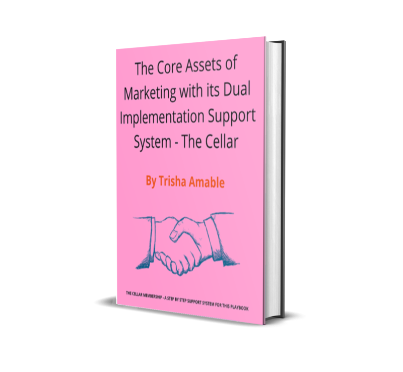 The Core Assets of Marketing
with its dual Implementation support system - The Cellar The Core Assets of Marketing
with its dual Implementation support system - The Cellar