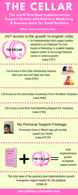 The Cellar - Business Mentoring Support System for the Manual and The Playbook