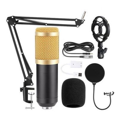 Microphone De Studio Professionnel