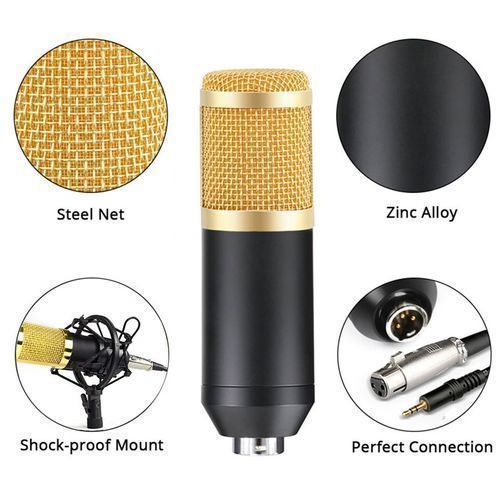 Microphone De Studio Professionnel