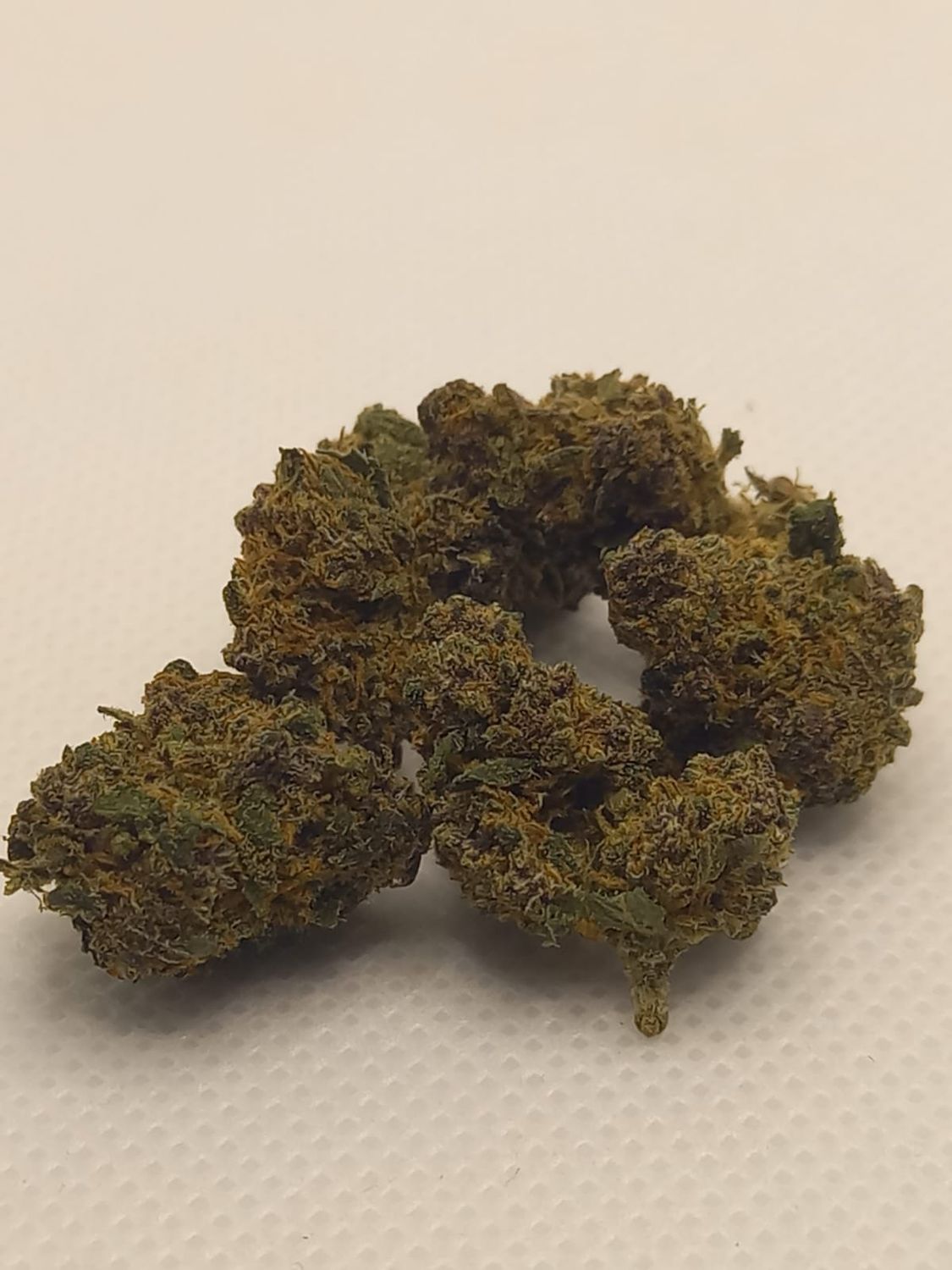 Fleur GLASSHOUSE –Small Buds Grand Daddy Purple