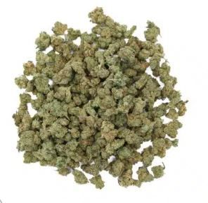 Fleur INDOOR HYDRO - Small Buds Amnesia Haze