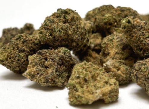 Fleur INDOOR PREMIUM - Small Buds Blackberry Kush
