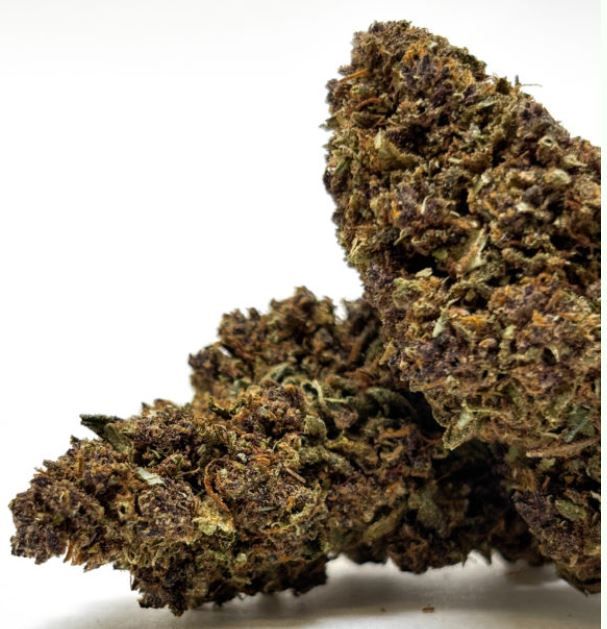 Fleur GLASSHOUSE – Purple Lemonade