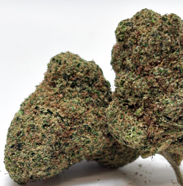 Fleur INDOOR HYDRO CALI - M.A.C (LAC)