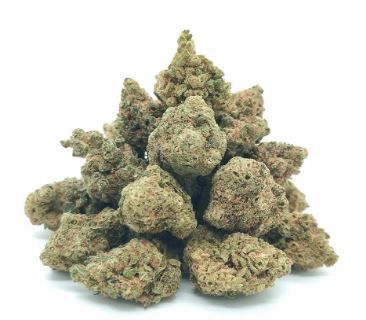 Fleurs - Medium et Small Buds