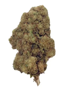 Fleurs - Bigs buds et mix